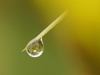 nussbaumer_dsc4019