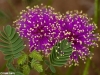 zure_05_mg_1556
