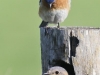 does_01_05_jdo5172