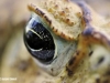 does_03_jdo0835-1