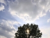does_05_02_jd30253
