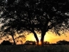 jdo_20080404_0483