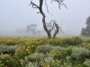 jdo_20080908_0007