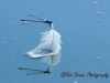 dsc_3698-640x480