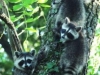 dsc_4032-640x480-640x480