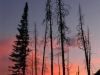 jackson_hole_wy_-photo_summit_126-640x480