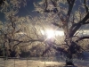 web-_8-640x480