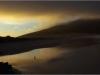 lcw_gullscape