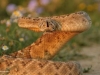 will_03_lw32026