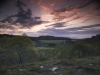 keeler_bcna_woodlands