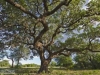 © Sean Fitzgerald - La Raminera Ranch