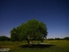 © D. Robert Franz - Mustang Ranch
