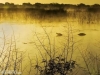 © John Hendrickson - Rob & Bessie Welder Wildlife Foundation