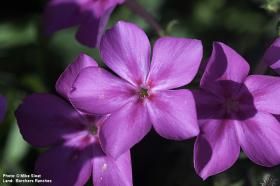 Sloa_05_01_DSC0266