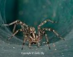 ILLG_04_MG_2460
