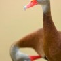 Stee_01_MG_0382