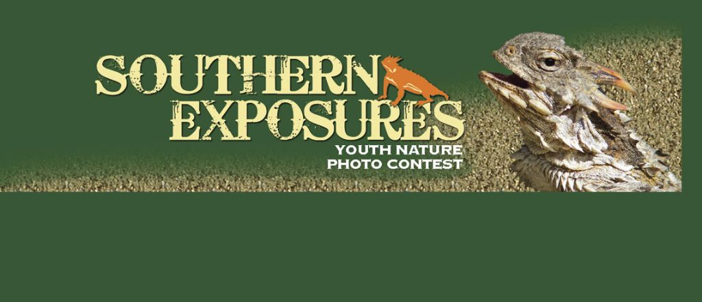 southernexp